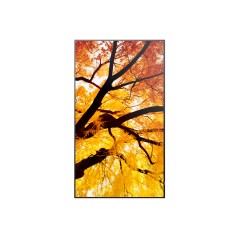 Sharp M982, 98" M-Series LFD, UHD - 98" professionel display